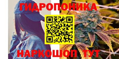 амф Лесосибирск