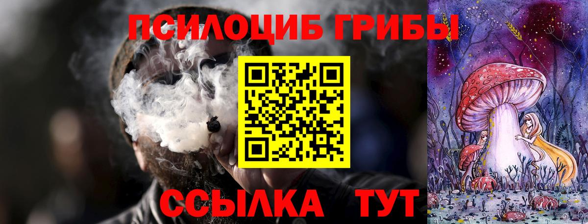 где найти наркотики  Вход с VPN  Губаха  Галлюциногенные грибы MAGIC MUSHROOMS 